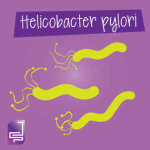 Helicobacter Pylori Gráfico